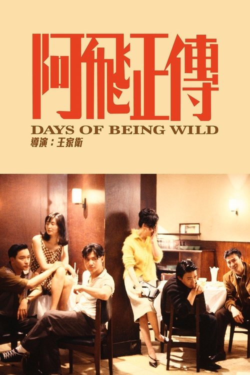 Nonton Days of Being Wild 1990 Sub Indo