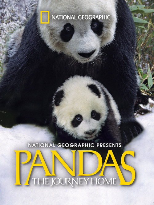 Nonton Pandas: The Journey Home 2014 Sub Indo