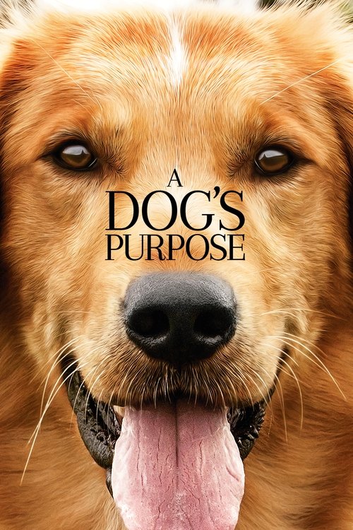 Nonton A Dog's Purpose 2017 Sub Indo