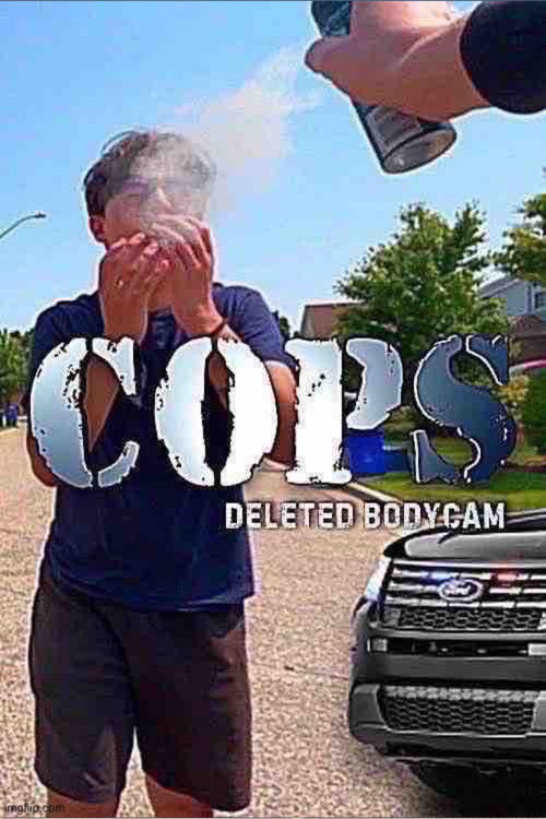 COPS: Deleted Bodycam