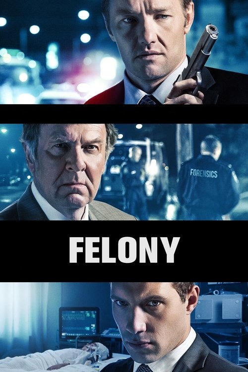 Nonton Felony 2014 Sub Indo