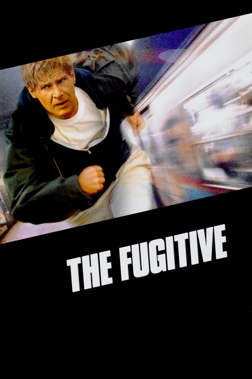 Nonton The Fugitive 1993 Sub Indo