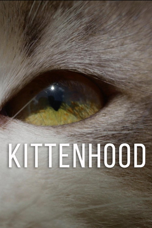 Nonton Kittenhood 2015 Sub Indo