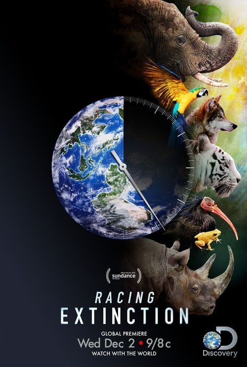 Nonton Racing Extinction 2015 Sub Indo
