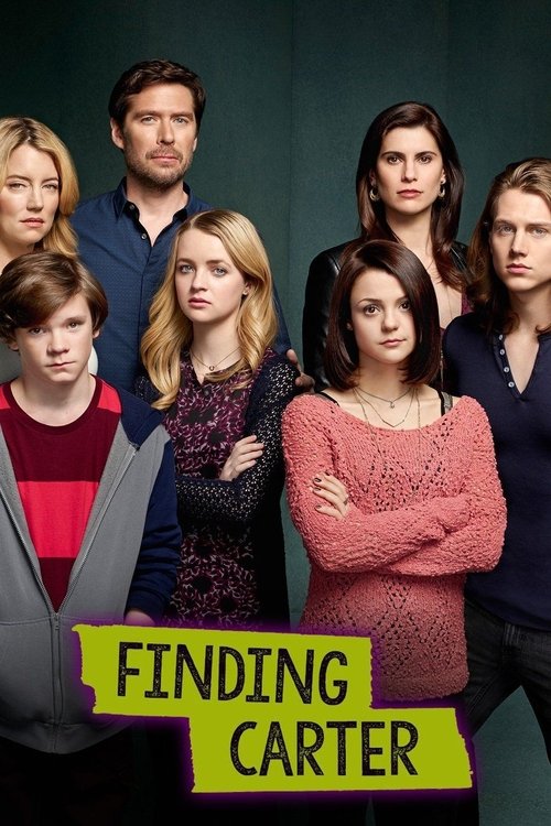 Nonton Finding Carter 2014 Sub Indo