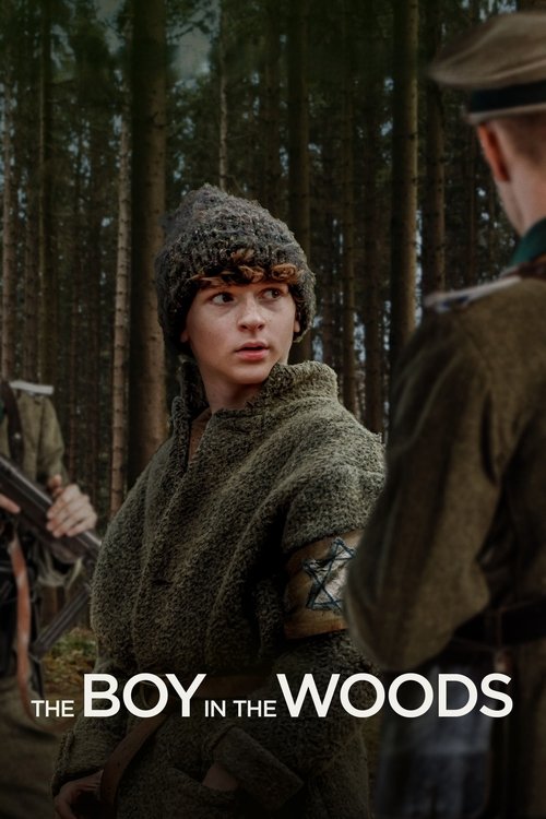 Nonton The Boy in the Woods 2023 Sub Indo