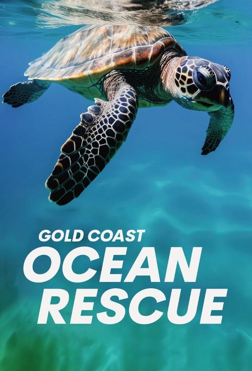 Nonton Gold Coast Ocean Rescue 2023 Sub Indo