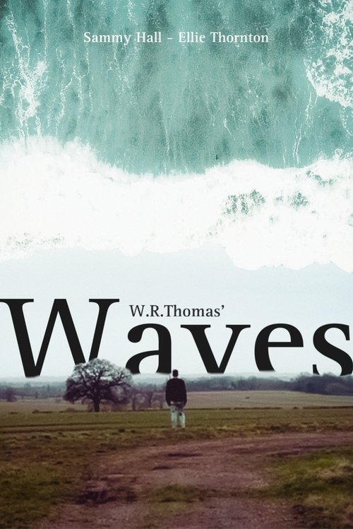 Nonton Waves 2024 Sub Indo
