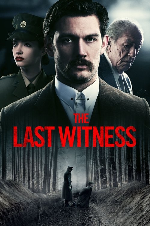 Nonton The Last Witness 2018 Sub Indo
