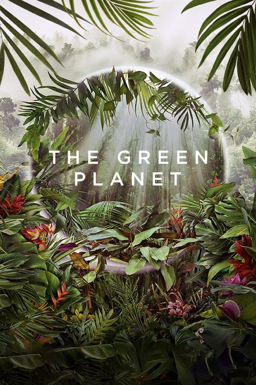 Nonton The Green Planet 2022 Sub Indo