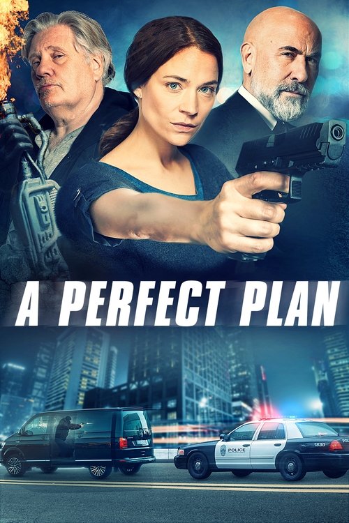 Nonton A Perfect Plan 2020 Sub Indo