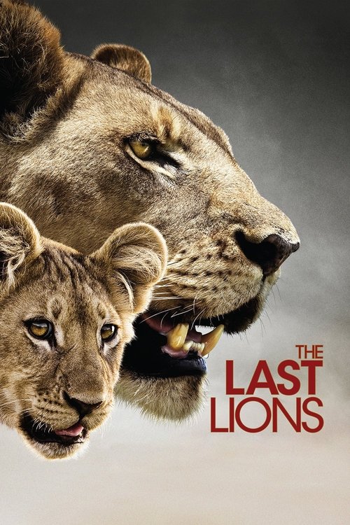 Nonton The Last Lions 2011 Sub Indo