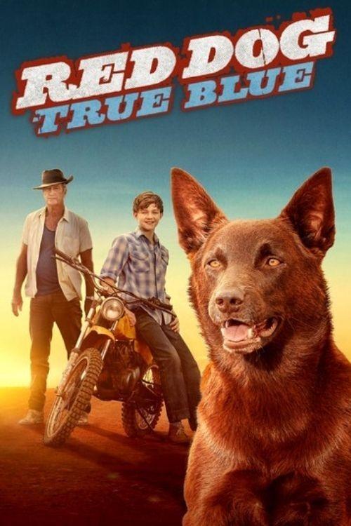 Nonton Red Dog: True Blue 2016 Sub Indo